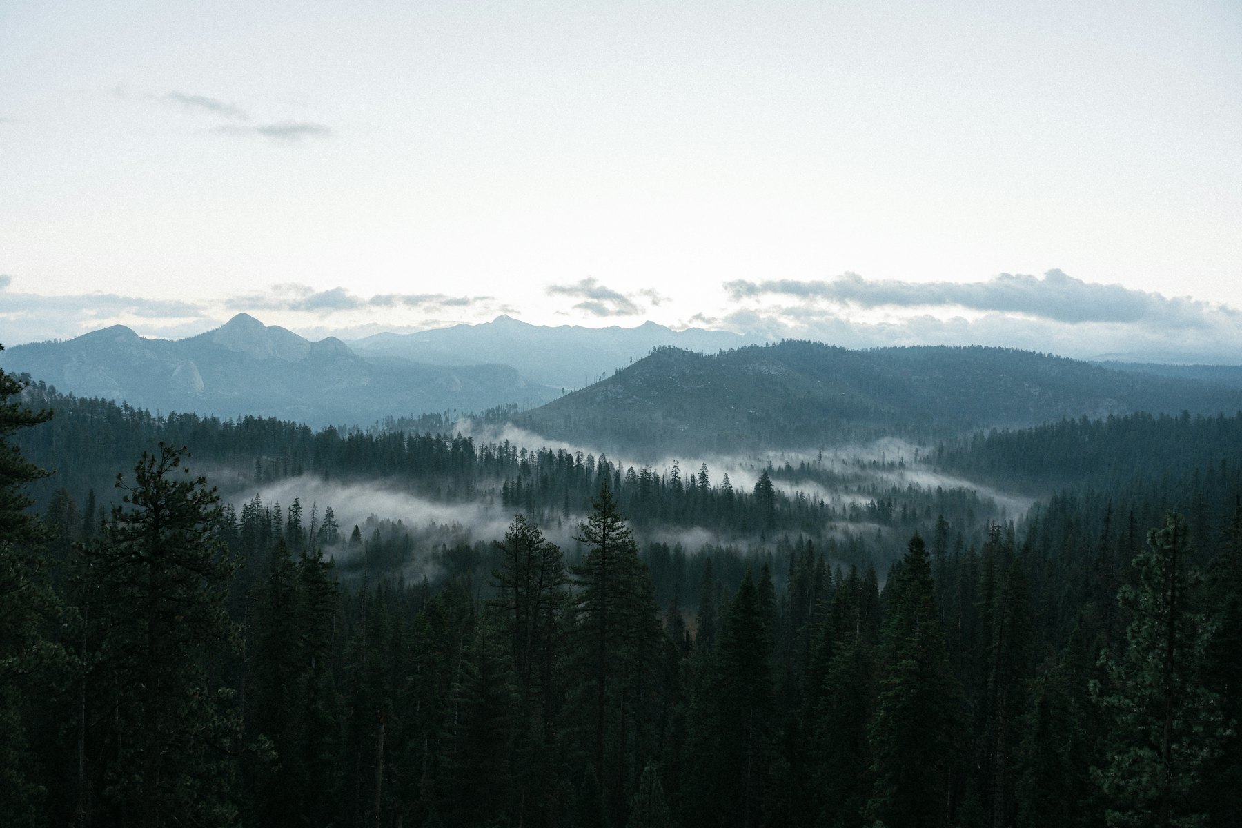 Misty forest valley with mountains in the morning light